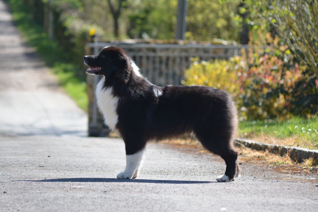 Saxo De La Source Du Rez